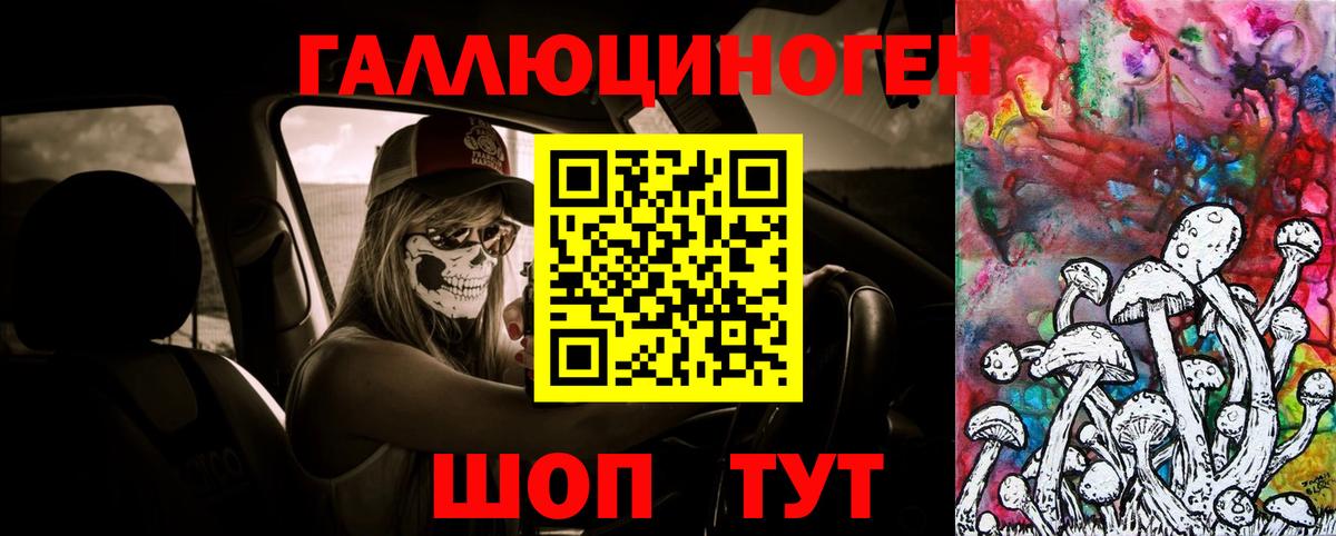 Тында  Галлюциногенные грибы Magic Shrooms  Вход с VPN 