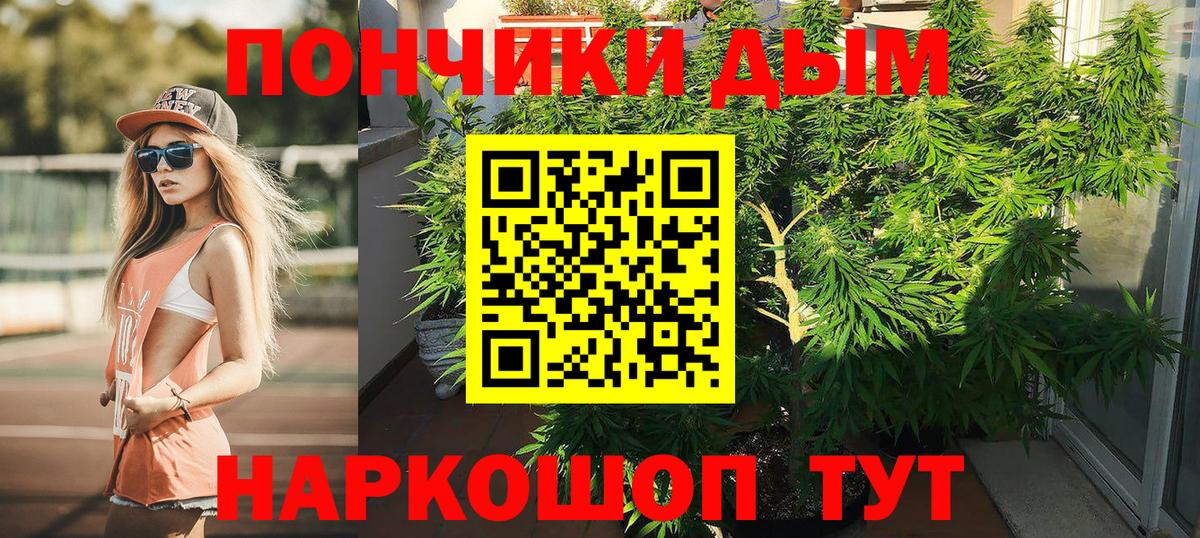 Шишки марихуана Amnesia Тында
